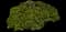 Nodding Pincushion — design image 4