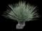 Desert Spoon — design image 26