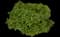 Eastern Snowball Bush — design image 5