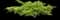 Creeping Juniper — design image 1