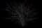 Burning Bush — design image 3