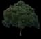 Koa — design image 1
