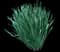 Wild Daffodil — design image 24