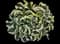 Mini Skirt - Hosta — design image 1