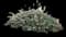 Catnip — design image 11