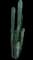 African Milk Tree Cactus — design image 3