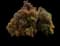 Channelled heath — design image 1