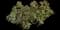 Kinnikinnick Emerald Carpet — design image 2