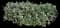 Indian Hawthorn (Rhaphiolepis indica) — design image 22