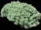 Powis Castle Artemisia — design image 3