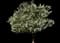 Crabapple Tree — design image 2