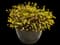 Bangle® Dyers Greenwood — design image 2