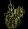 Totem Pole Cactus — design image 14