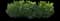 Boxwood Shrub — design image 7