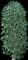 Weeping European Beech — design image 1