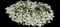 Purity Evergreen Candytuft — design image 1