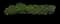 Chinese Banyan — design image 3