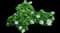 Oakleaf Hydrangea Shrub — design image 11