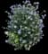 Rose of Sharon — design image 10