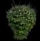 Dog Rose — design image 1