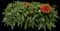 Spin Top Orange Halo Blanket Flower — design image 1