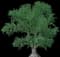 Service Tree — design image 2