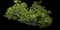 Mini pine tree — design image 2
