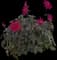 Garden dahlia — design image 1