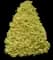 Gold Mop Cypress — design image 1