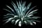 Blue American Agave Plant — design image 13