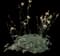 Oil Shale Columbine — design image 1