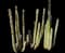 Silver Torch — design image 1