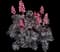 Palace Purple Heuchera — design image 2
