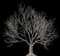 Service Tree — design image 4