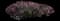 Scotch Heather — design image 1
