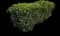 Laurustinus Viburnum — design image 9
