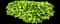 Hosta Plants — design image 15