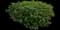 Culinary Thyme — design image 3