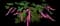 Bleeding Hearts — design image 2