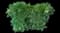 Nandina — design image 11