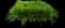 Lily Turf Grass — design image 19