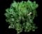 Copper Ice Plant — design image 8