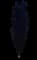 Dawyck Purple Columnar Purple Beech — design image 2