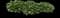 Hosta Plants — design image 10