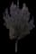 Flowering Pear Tree — design image 18