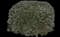 Tuscan Rosemary — design image 2
