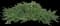 Rock Cotoneaster — design image 2