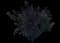 Ninebark (Physocarpus opulifolius) — design image 10