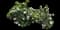 Carol Mackie Daphne — design image 14
