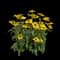 Coneflower — design image 1